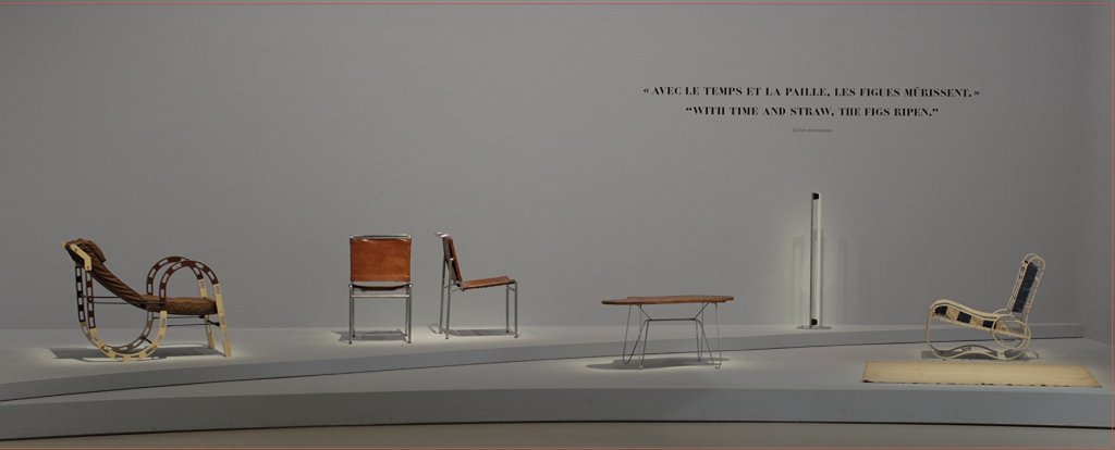 O biografie întârziată: Gray Matters (r. Marco Orsini,&nbsp;2014)